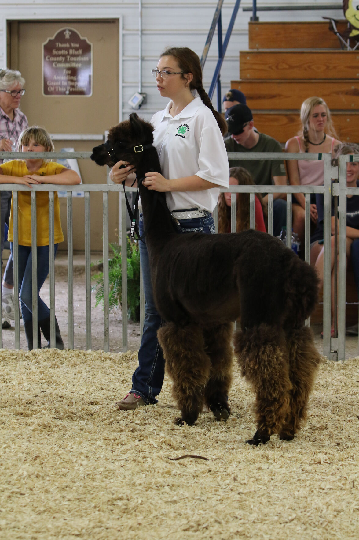 PHOTOS: Fiber Animal Show